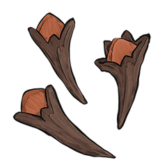 Clove