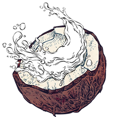 Coconut Water