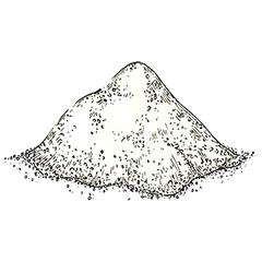Cognizin® Citicoline