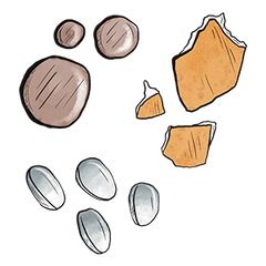 Multi Collagen Beauty Complex