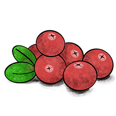 Cranberry