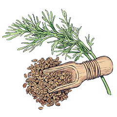 Dill