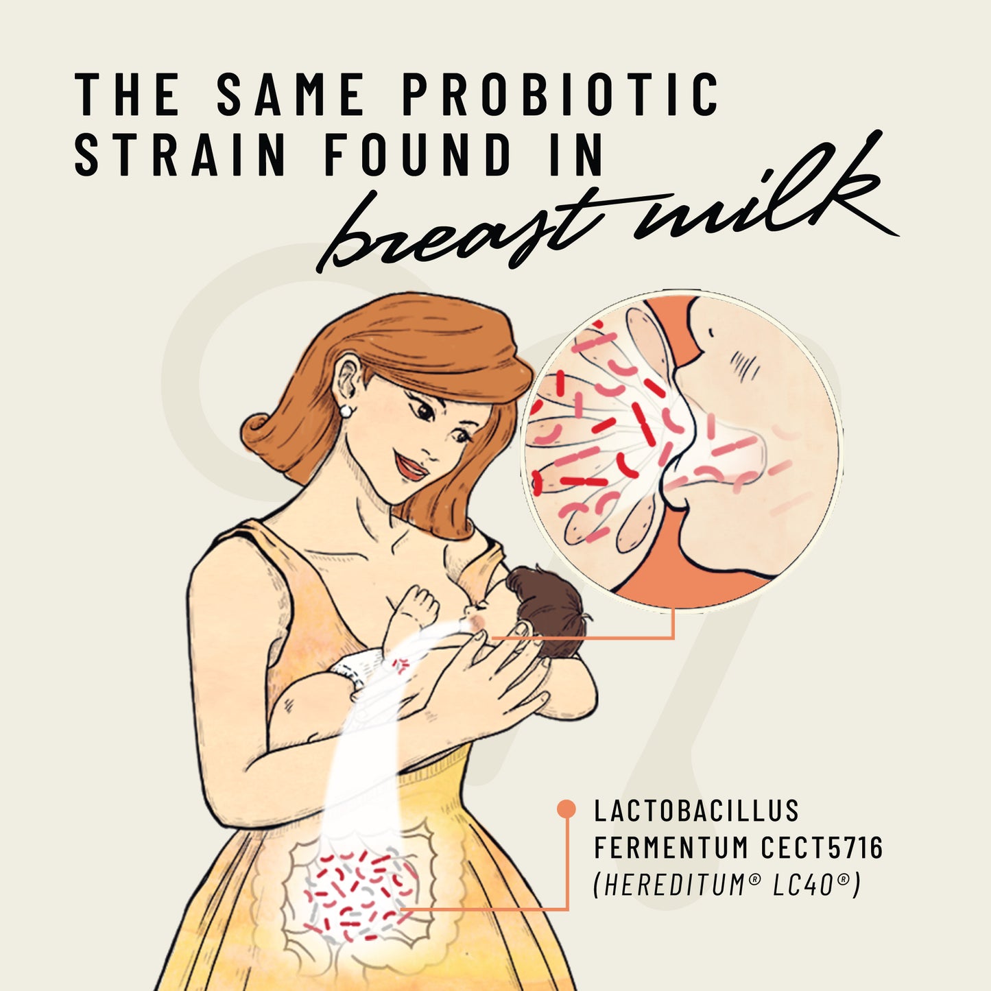Lacta-Biotic®