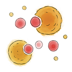 OPTIZIOME® P3 Enzymes