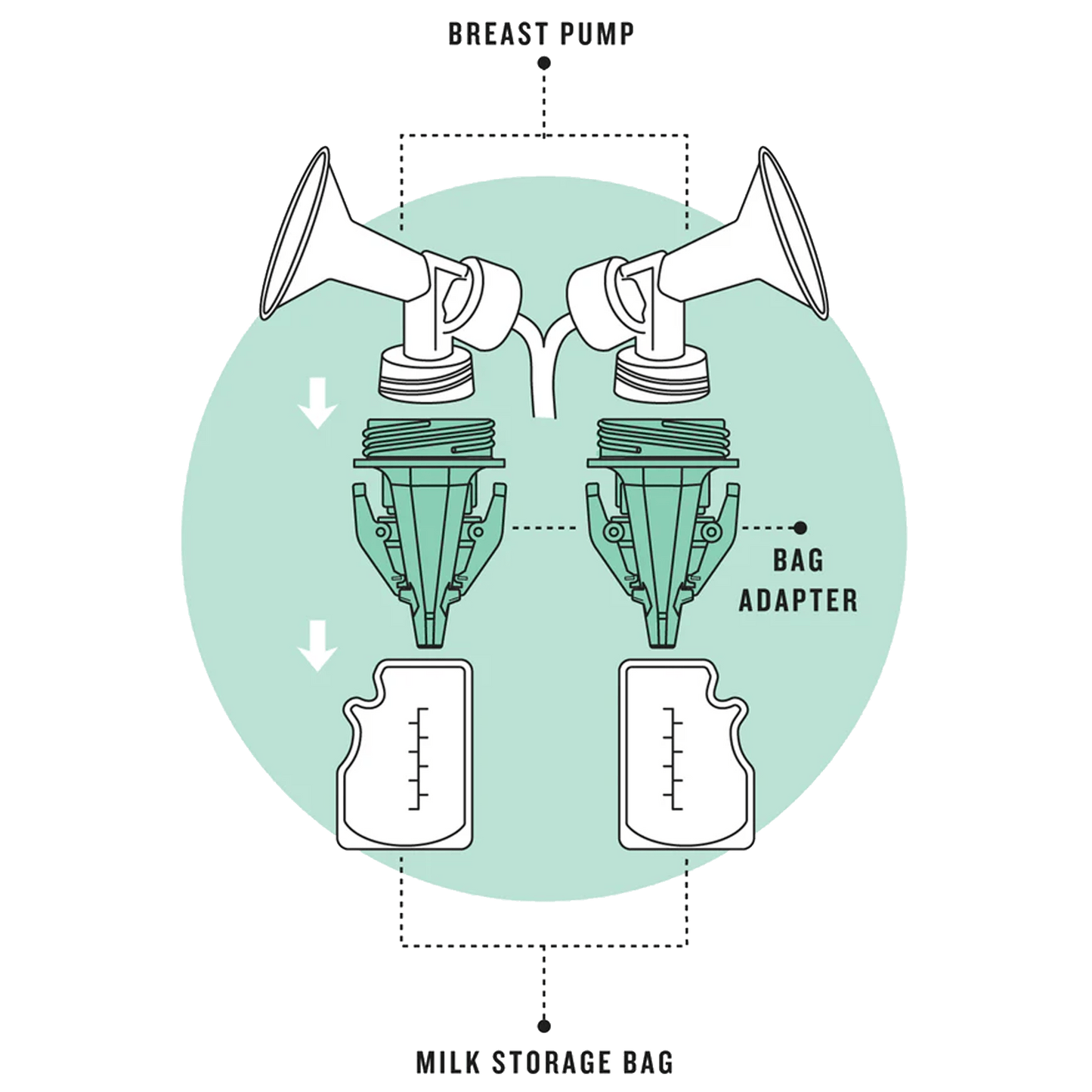 Breastmilk Storage Bag Adapters - Narrow Mouth - Legendairy Milk