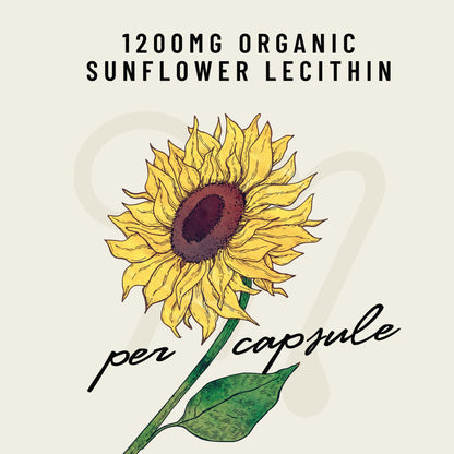 Sunflower Lecithin - Legendairy Milk