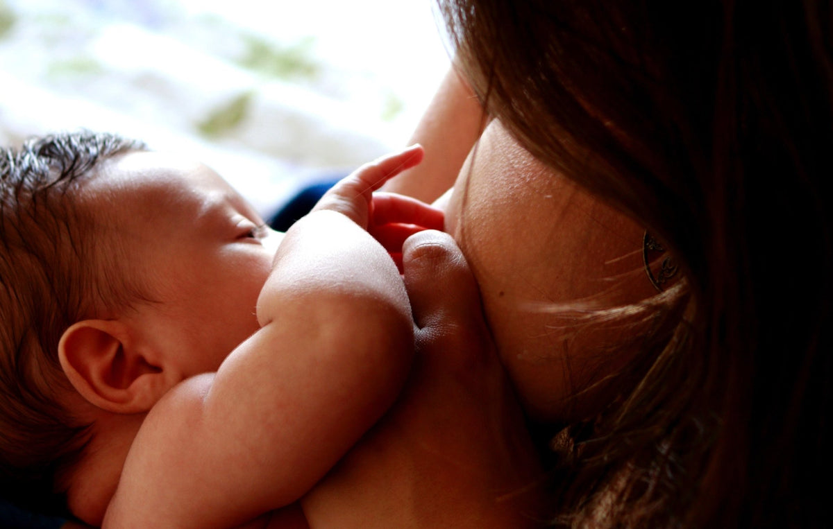 Fat Content Increases Gradually Over the Course of A Feeding - Legendairy Milk