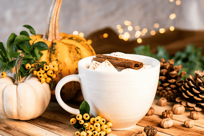 Low-Sugar Pumpkin Spice Lactation Latte - Legendairy Milk