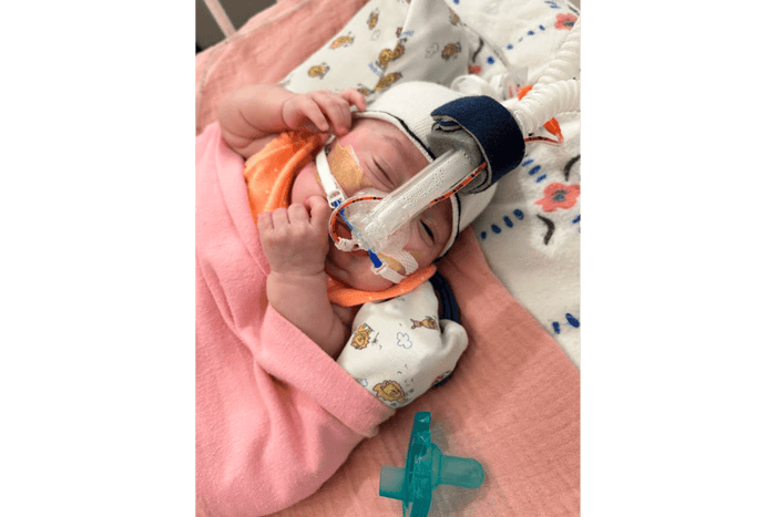 Meet July's  Legendairy Little, Willow - Legendairy Milk