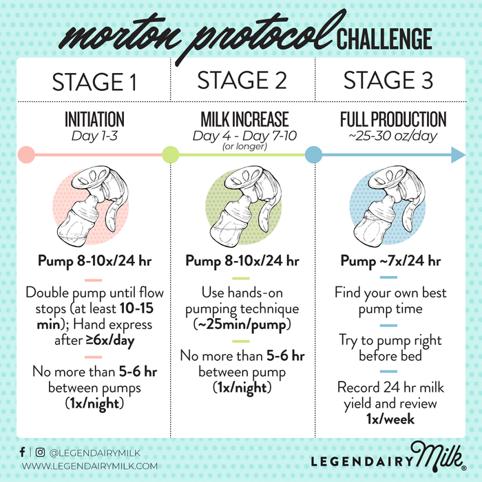 Morton Protocol Challenge - Legendairy Milk