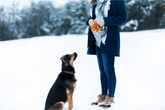 Pregnant in winter