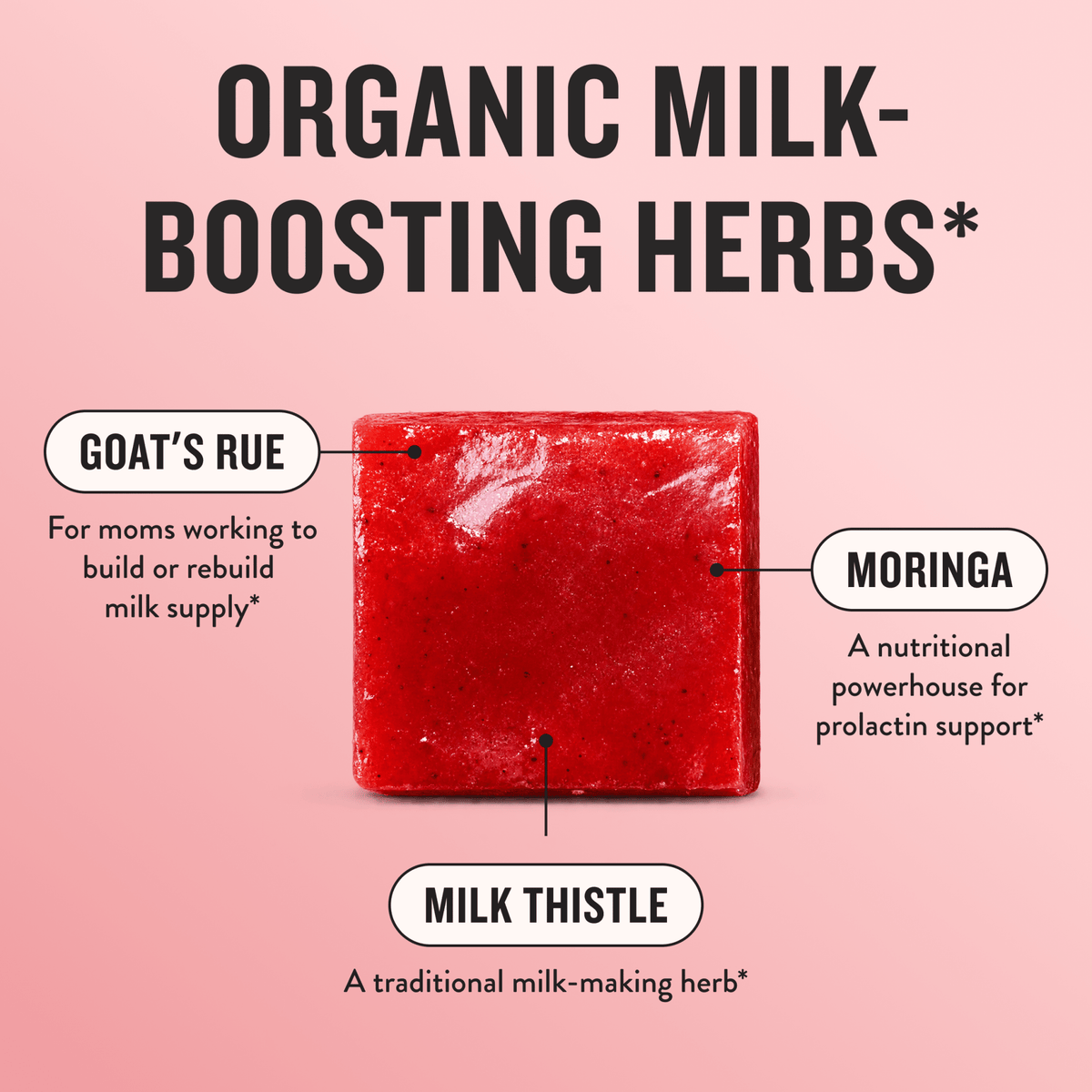 LACTABOOST (6 Month Supply) - Legendairy Milk