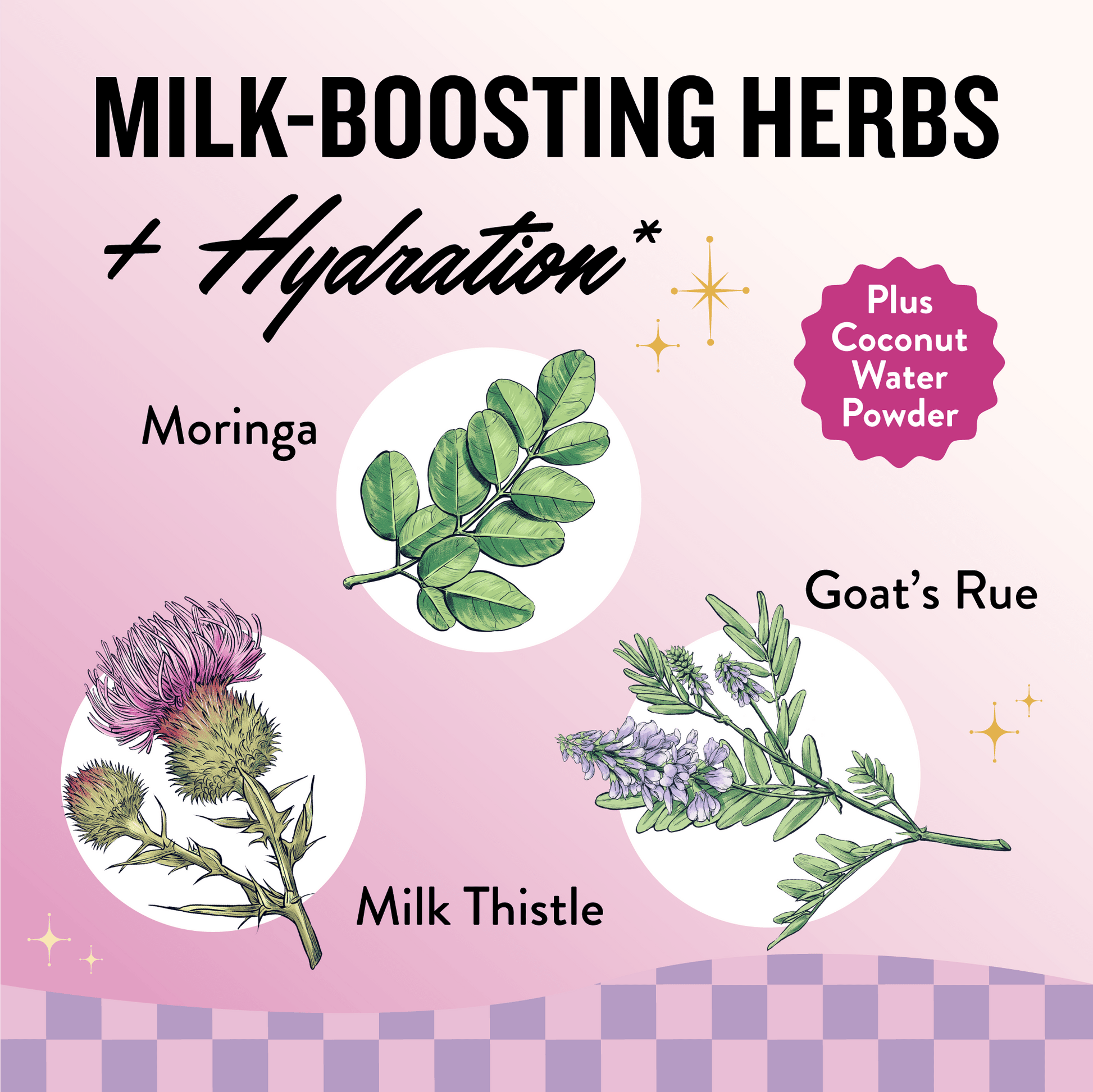She's Flowing Lactation Drink Mix (6 Month Supply) - Legendairy Milk