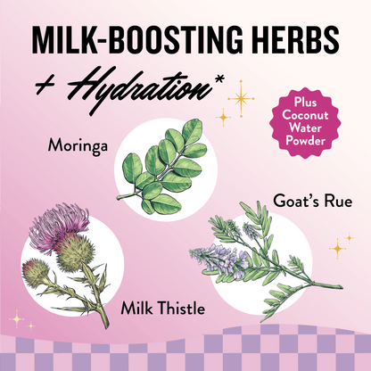 She's Flowing Lactation Drink Mix (6 Month Supply) - Legendairy Milk