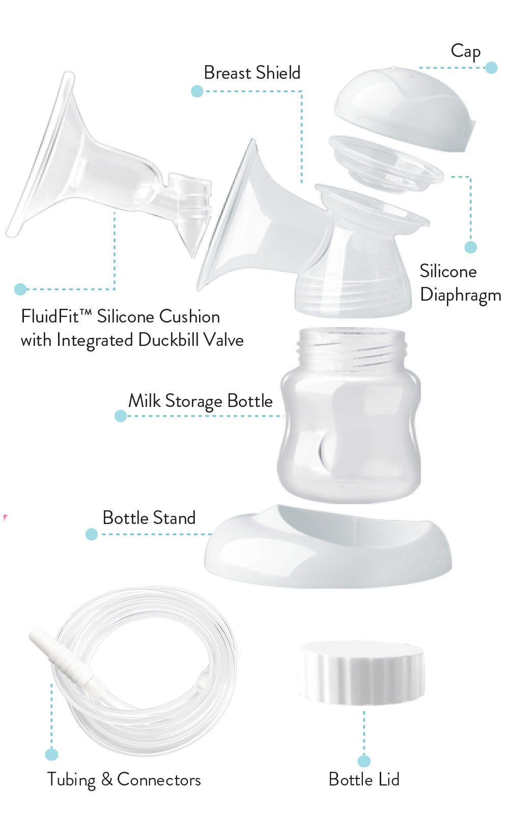 FluidFit® Breast Shields Kit - Legendairy Milk